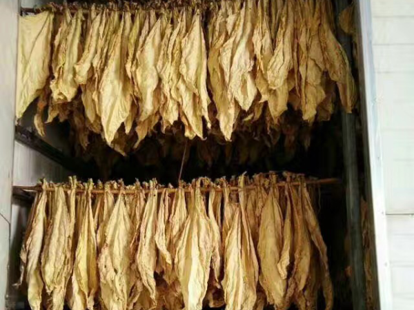 電磁加熱器應(yīng)用于煙草烘烤